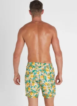 Dahlia Taylor Shorts