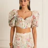 Dianthus Dani Corset