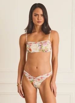 Dianthus Mia Bandeau