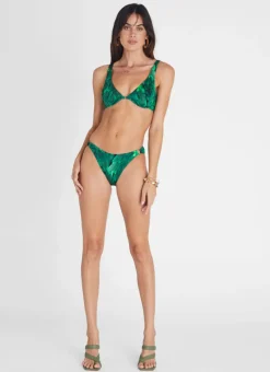 Hummingbird Alexis Cheeky Pant