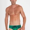 Hummingbird Racer Briefs