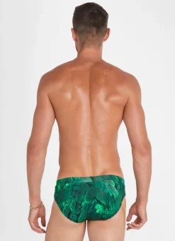 Hummingbird Racer Briefs