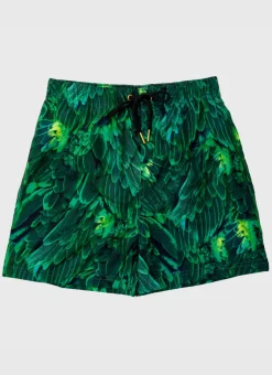 Hummingbird Running Shorts