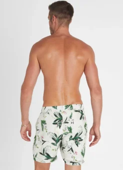 Lily Taylor Shorts