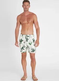 Lily Taylor Shorts