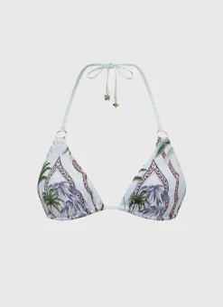 Palmilla Aurora Triangle