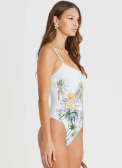 Palmilla Gabrielle DD/E One Piece