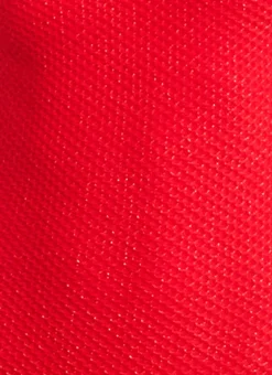 Rouge Priscilla DD/E Cup One Piece