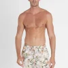 Vervain Taylor Shorts